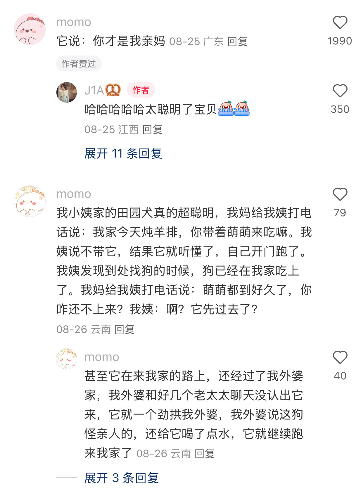 中华田园犬真的太聪明了​​​