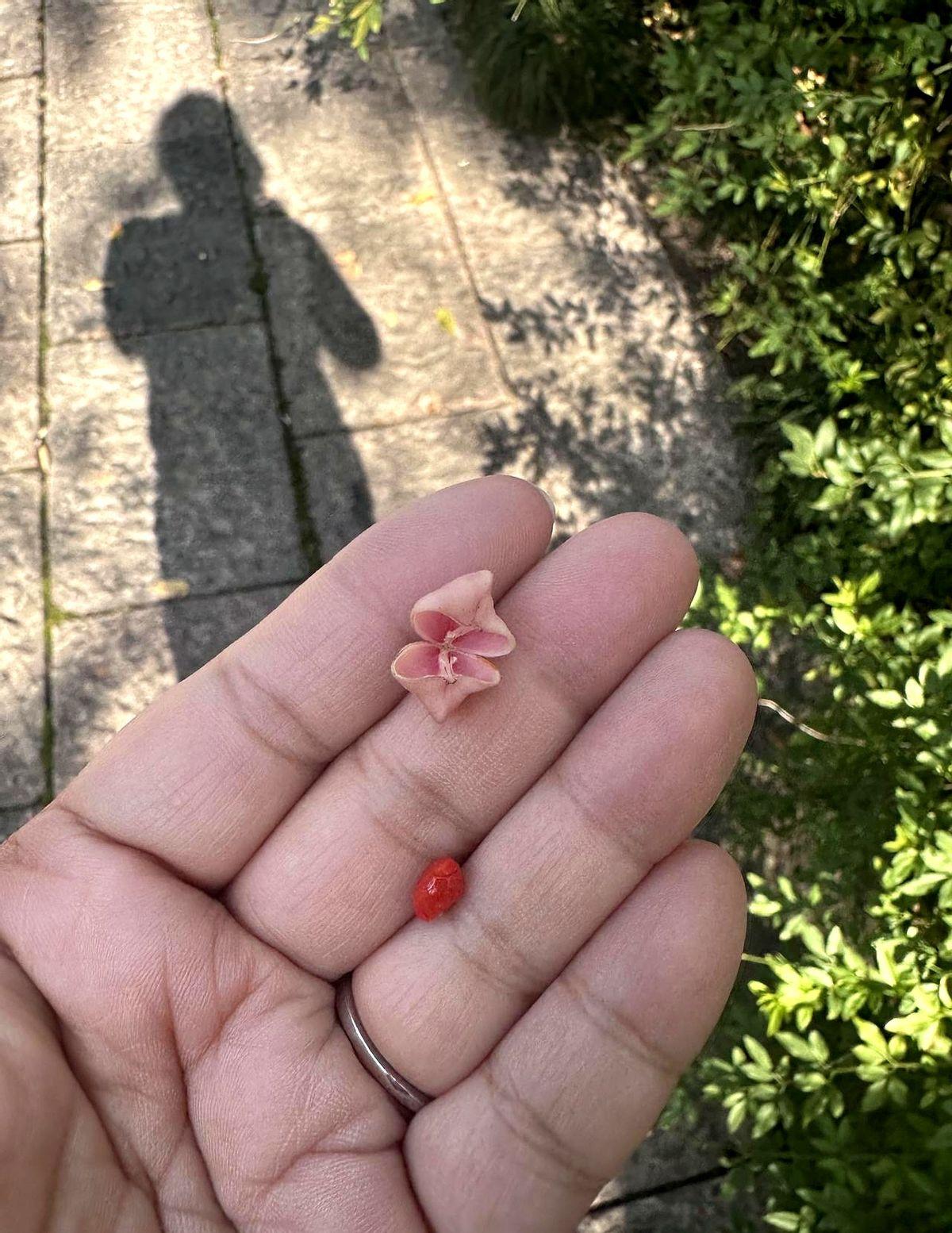 我从天津西站坐了一辆出租车！我有一个巨大的箱子还带着一个孩子，这位大爷居然坐在