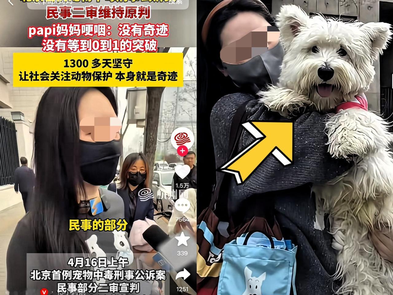 这人绝对可以定义为“极端狗粉”了。不然怎么可能三四年时间里不上班不工作，一直就