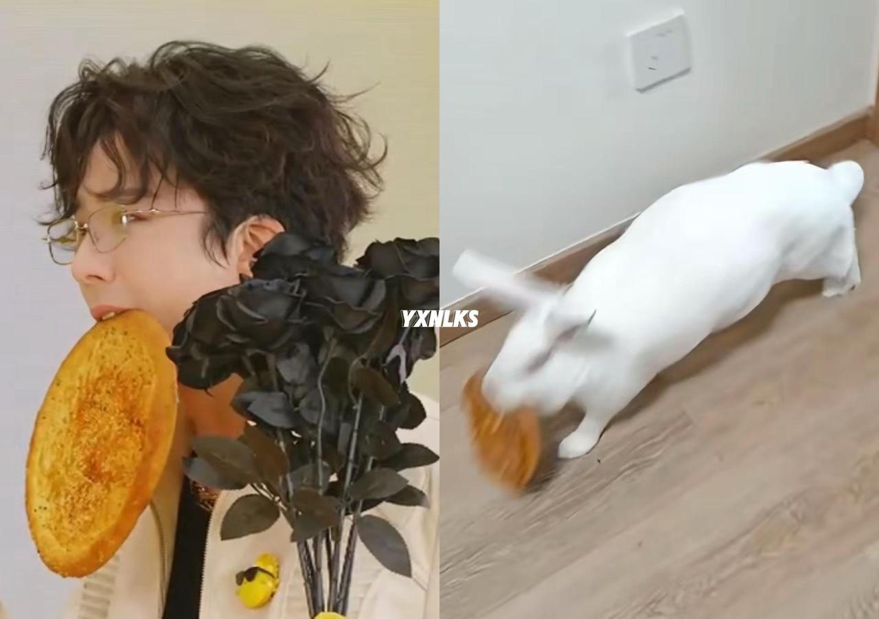 笑吐了没有兔子叼饼的图只找到这个。从昨天晚上笑到今天还是决定做了这张图