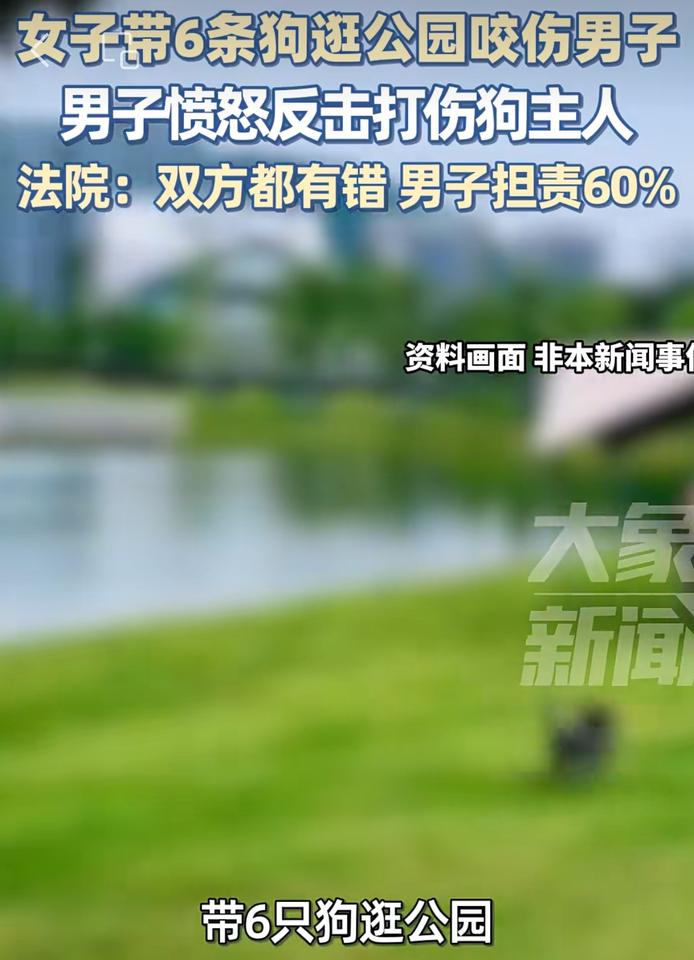 男子被狗咬，反被赔偿1万多，这倒反天罡的判决到底是怎么回事？男子在公园里溜达，一