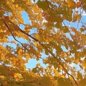 保持一颗善良的心，就是人生幸福的源泉，就是一席永恒的筵席，就是被