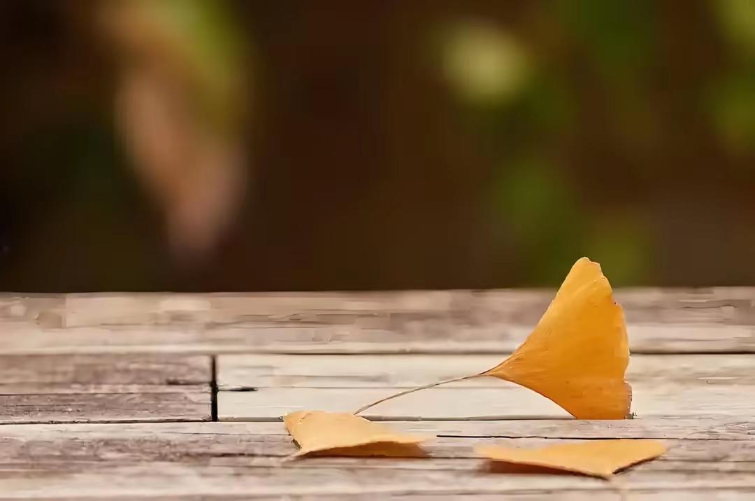 我发现了儿子家的一个秘密，儿媳妇的做法让我很不理解，我觉得她和我儿子不是一条心。