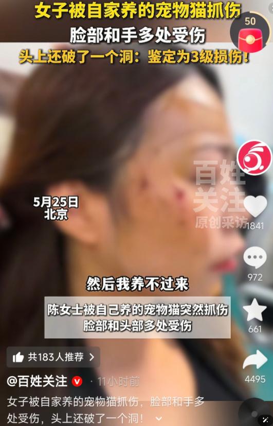 太吓人了！北京，一女子从同事手中接回之前送养的小猫，没想到刚到家，自家养了两年的