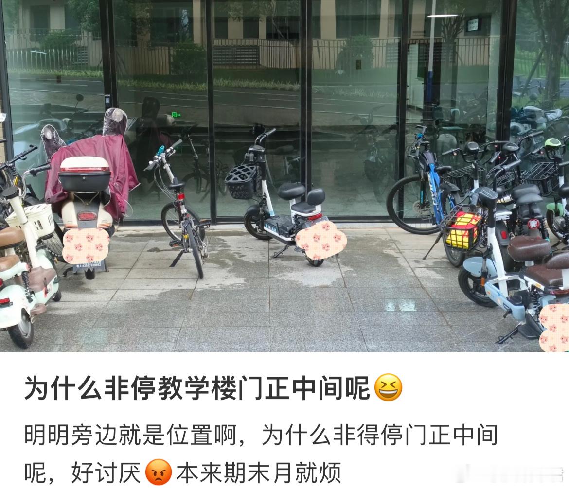 大学生期末看房什么都烦​​​