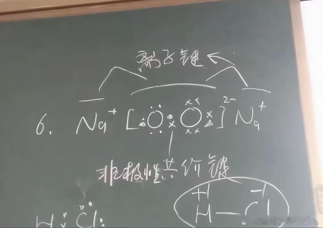 在小猫脸上看见了化学题[doge]校园热梗王​​​