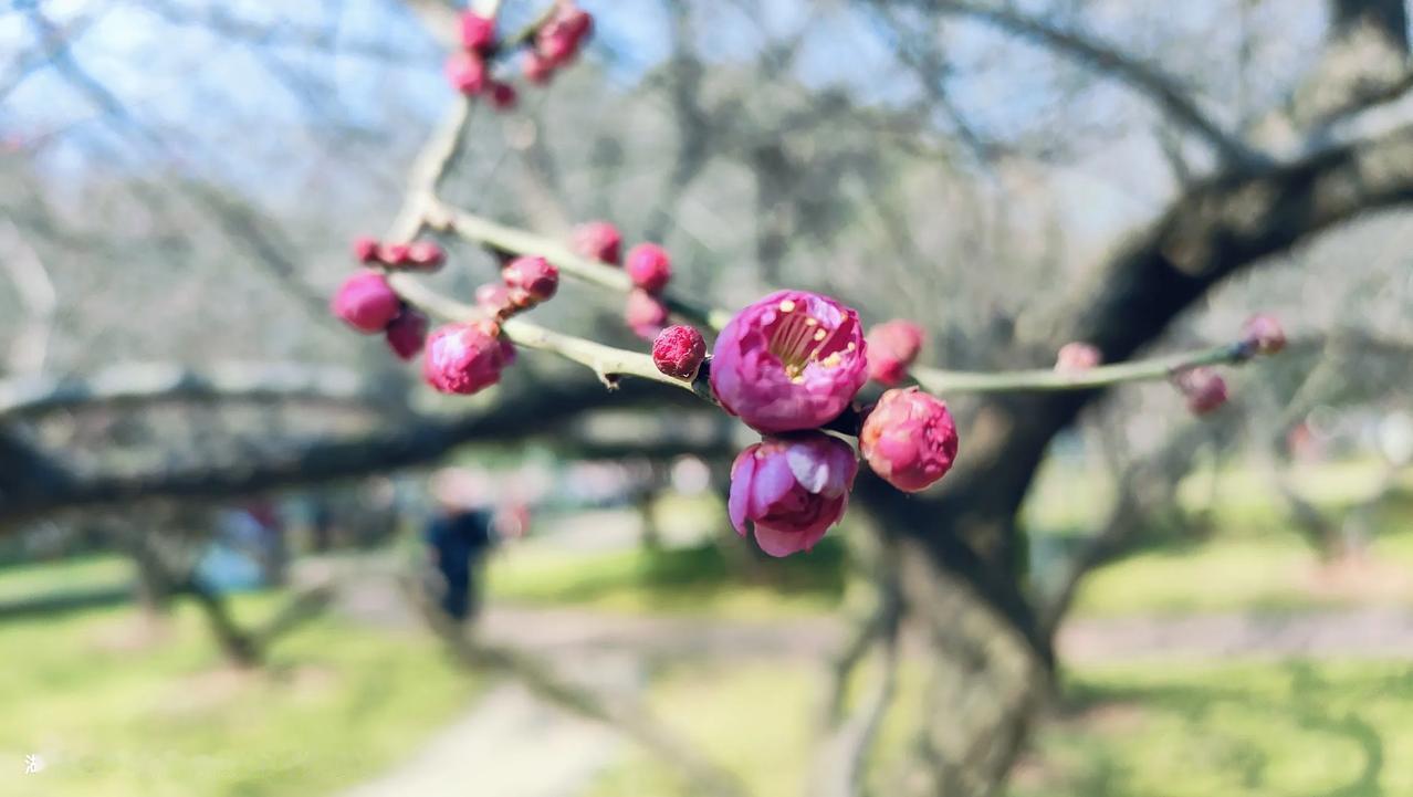 一个家长说，我支持高中学校周末补课，因为比外面便宜…这句话看上去很简单，但是研