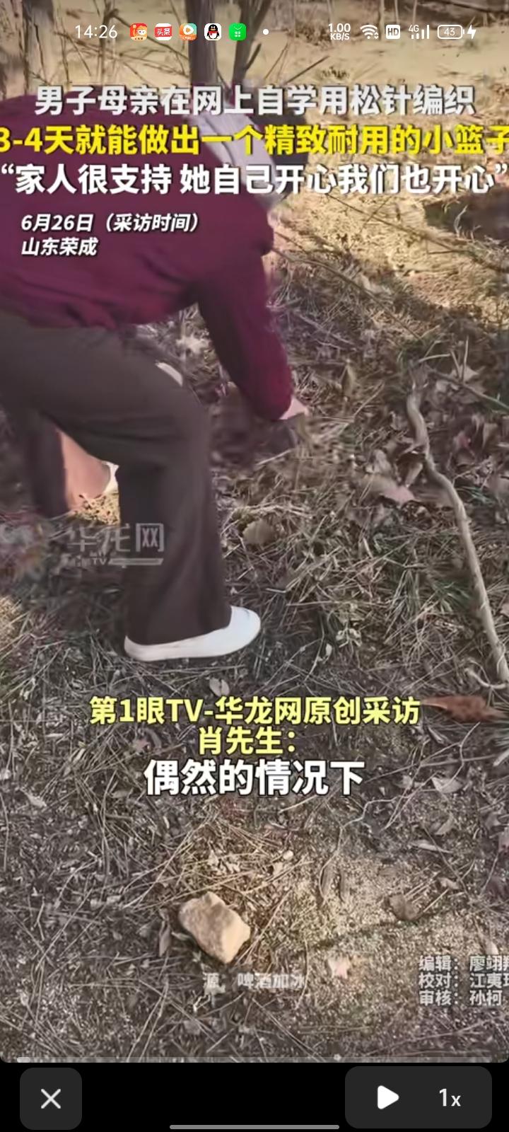 6月28日，威海荣成市。儿子肖先生称，母亲偶然在网上看来松针编织的视频，就尝试自