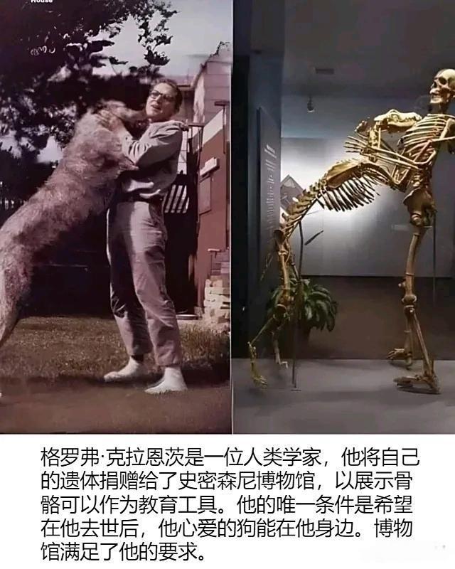 博物馆满足了他的请求