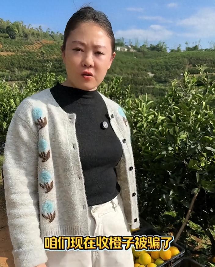女子凭一己之力把果农干翻！云南，男子收购冰糖橙，和女子说好要全黄的，可第二天到果