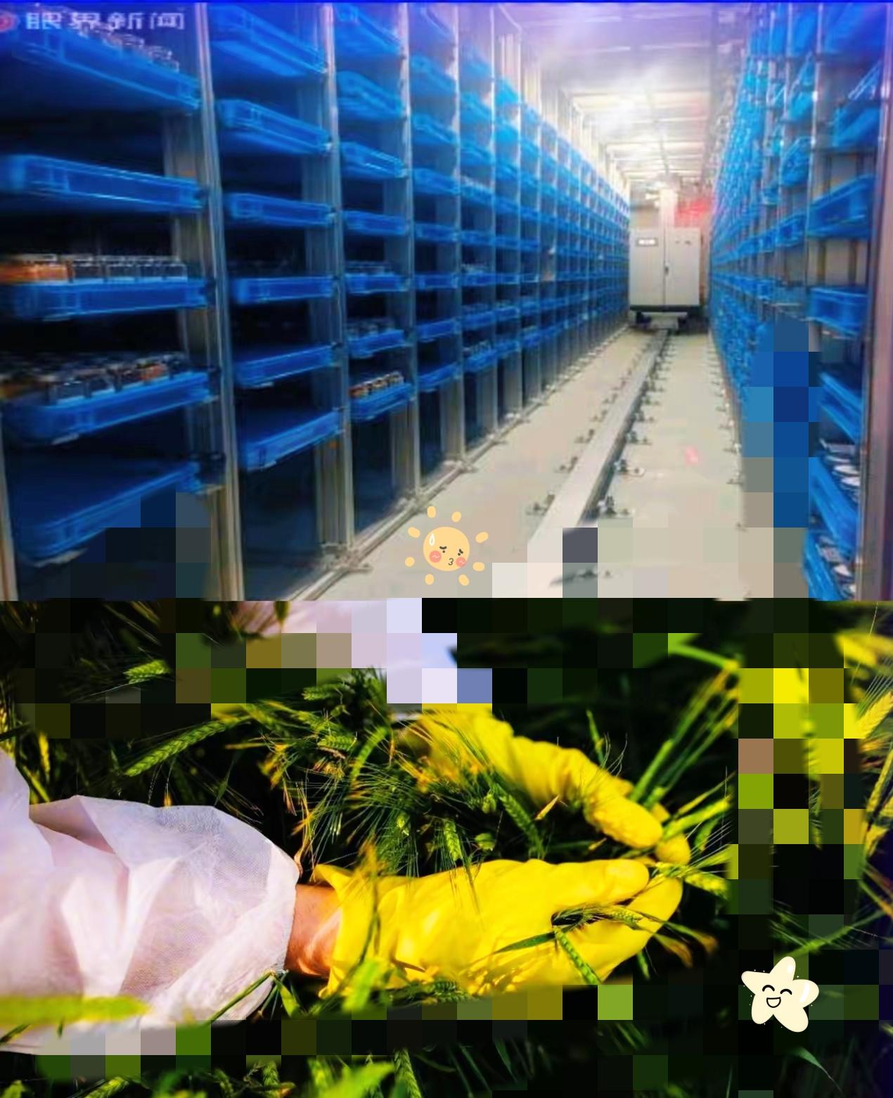 谁能想到，不起眼的田间地头，早已成了境外势力觊觎粮食安全的战场。国安部最新通报