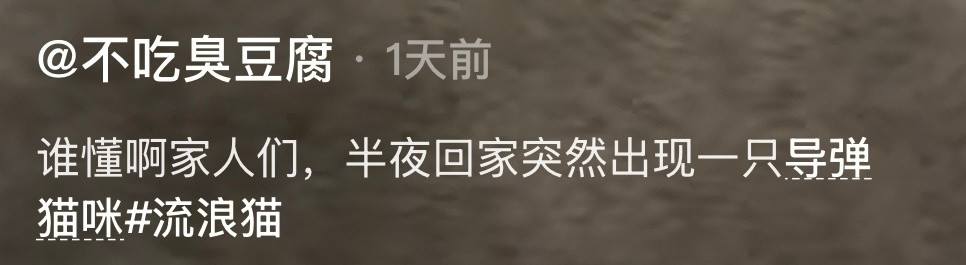 开心到把尾巴贴在背上的猫咪人间值得有欢喜我的幽默灵感片场​​​