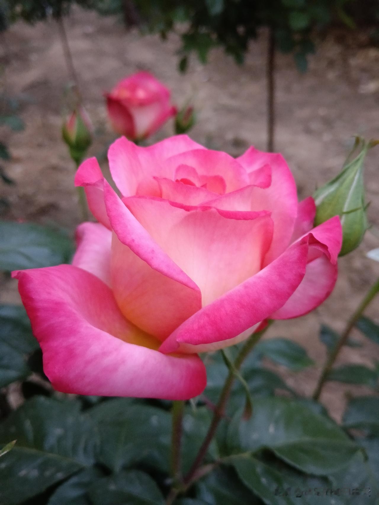 不是玄学！农历三月十四，最旺自己的5件事，尤其是第1件，做了心里踏实今天是