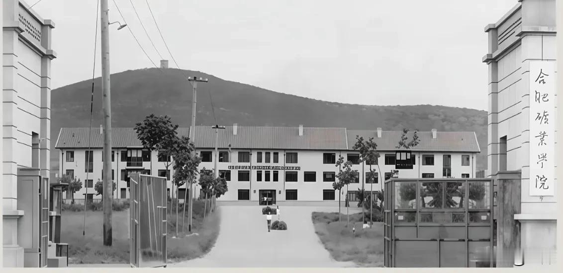 合肥矿业学院，是现在合肥工业大学的前身。1945年成立安徽省立蚌埠工业职业学校，