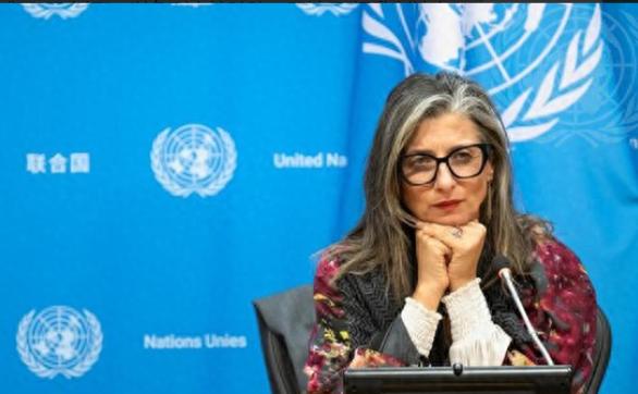 联合国现场彻底闹大了！专家当着全世界的面把实锤全抖出来了，以色列折磨巴勒斯坦人早