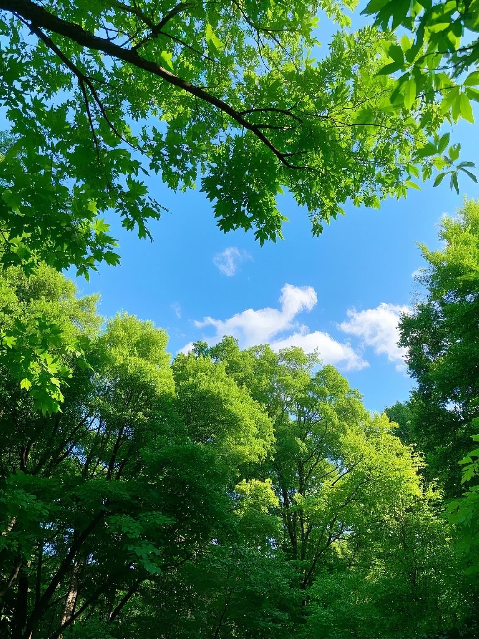 说个玄学。你的未来，会好到无法想象。前几天整理旧物时，翻出一整箱食用盐。这是母亲