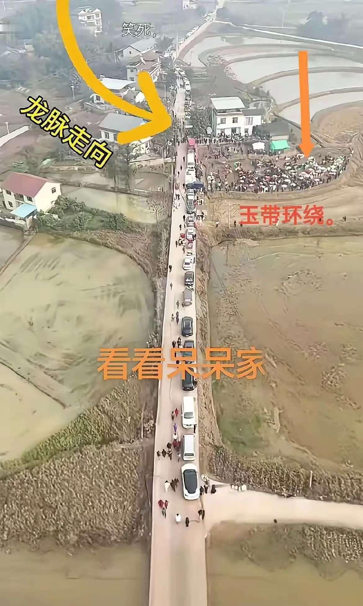 老子要气死了！呆呆短短几天就完成了人生重大的任务，变得有钱有闲有名气，这说明