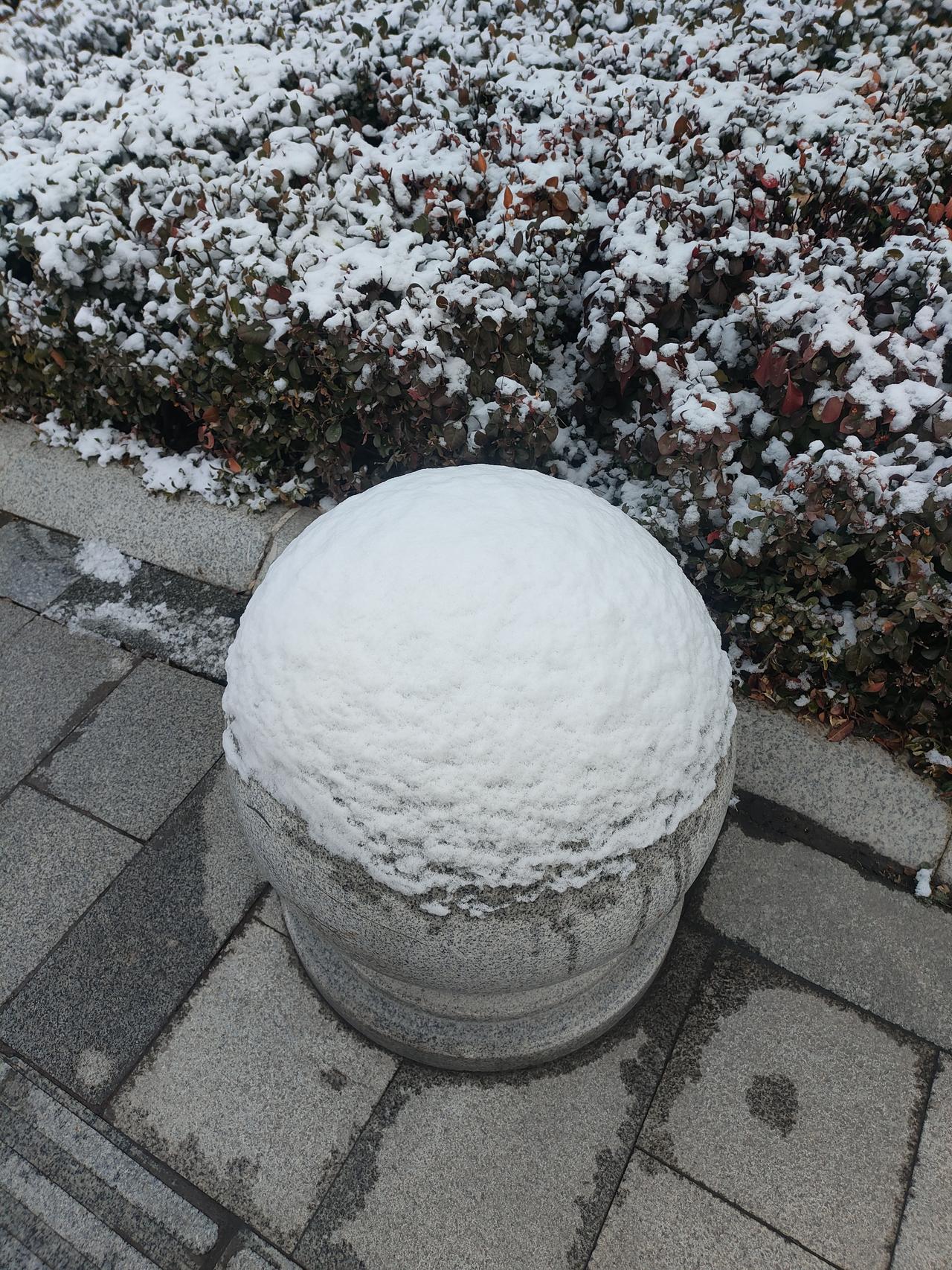 我有一个提高生育率的好方法，体制内人员带头，最少两个孩子。当年国家搞计划生育，