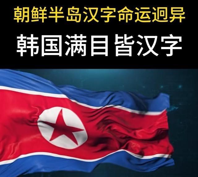 1948年韩朝分裂后，两国不约而同地开展了废除汉字的运动，开始的时候，朝鲜做得非