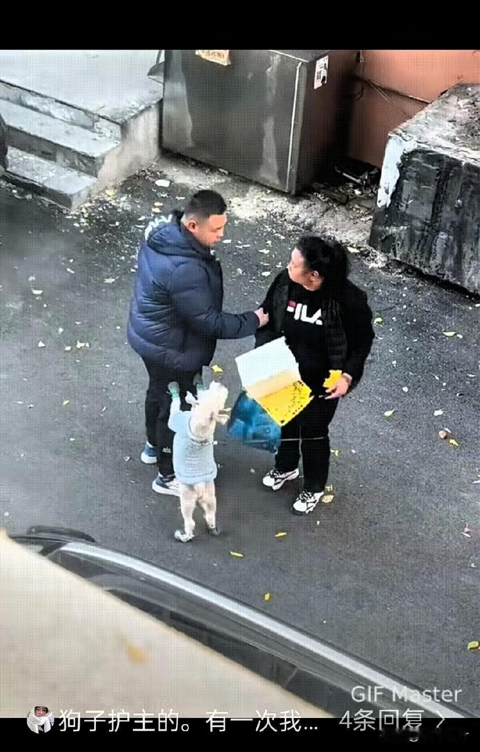 女主人竟遭人殴打,这还得了!一旁的狗子瞬间红了眼,猛地蹦起来扑上去,照着男子的羽