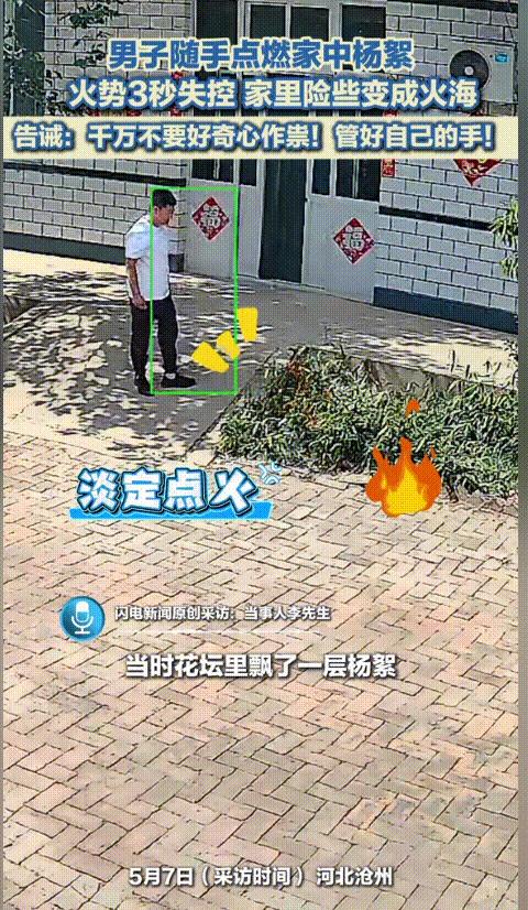 “人果然不能太闲！”河北沧州，男子在院子里吸烟，突然看到地上飘着的柳絮，心思一起