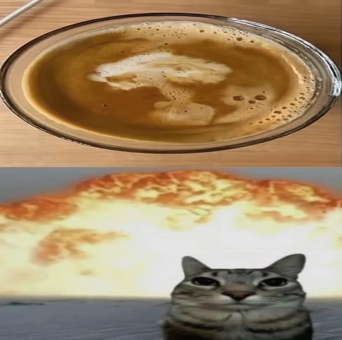 来点小猫核爆咖啡