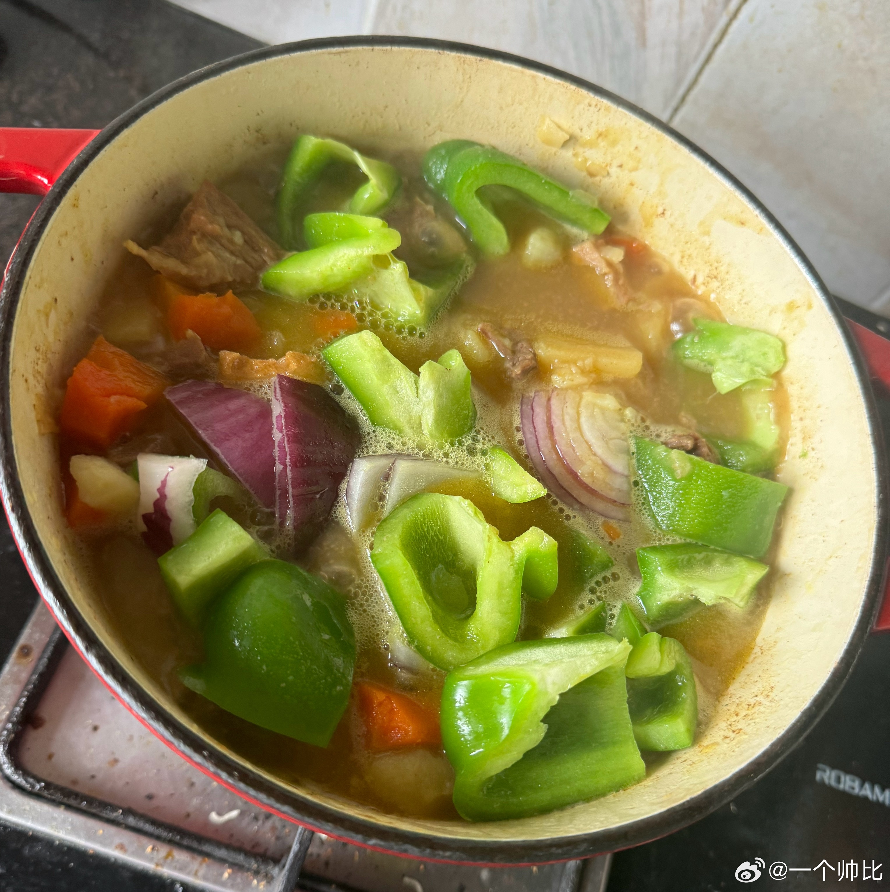 今天炖咖喱浇在66餐具上的时候有点像大便盖浇饭