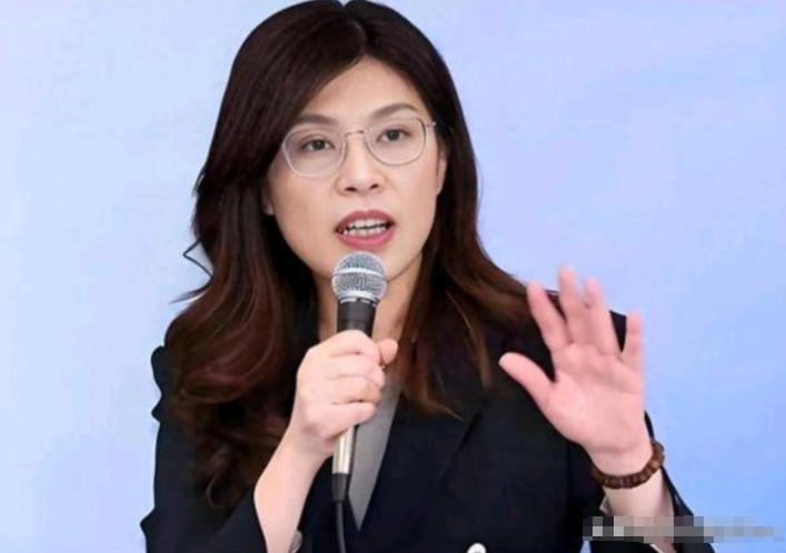 5月6日，台湾政坛爆出大快人心的消息！日本自民党青年局访团窜台，见遍了蓝绿白三党