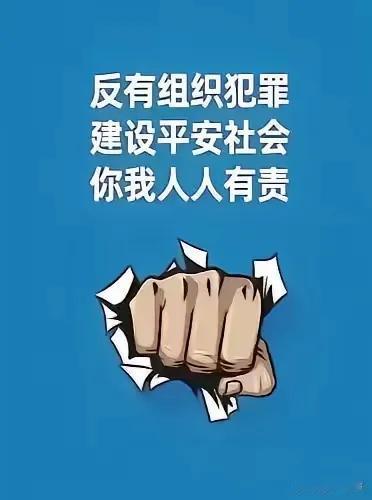 李欣莳事件背后显然是有人策划组织过的，媒体、记者、律师、教育学者纷纷发声。李欣莳