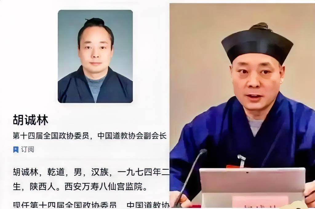 我翻了翻胡诚林被举报的那点事，看到“97年的情人”那一条，手指突然停住了……