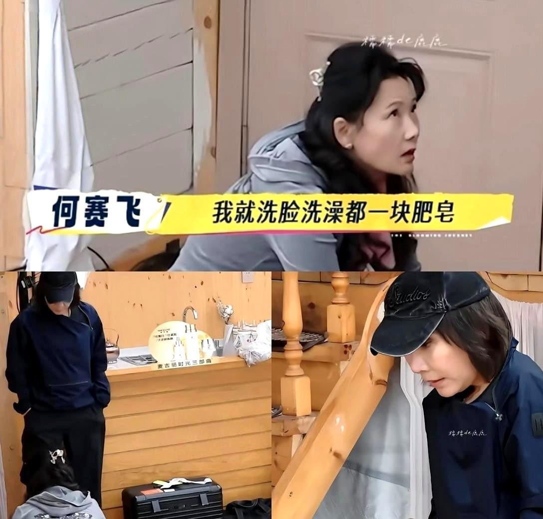 刘嘉玲老尴尬了,她怎么也没想到,自己天天高端护肤品养着,竟然还不胜何赛飞手里的一