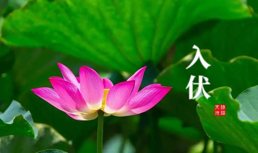 一生知足，自然有福；难忘亲友，每天祝福；幸福安康，心满意足；保重身体，平安是福。