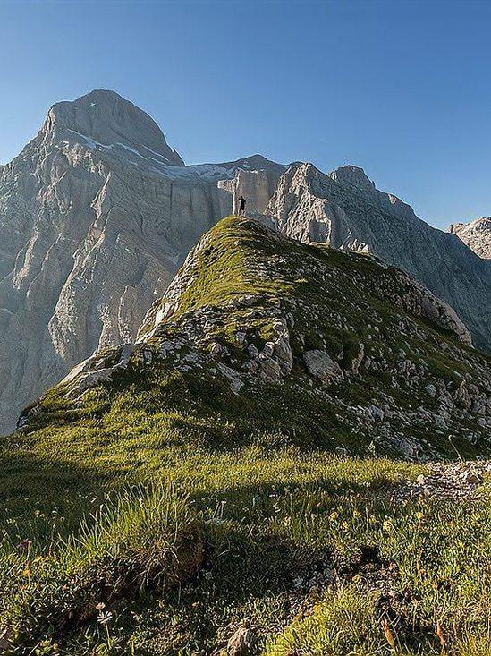 胆子越大路越宽，人生所有好运都藏在勇气里近期一段劝人做人胆子大一点的感悟文