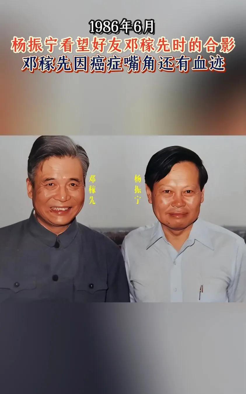 那年，杨振宁来看望癌症晚期的邓稼先，他开玩笑地问：“你搞原子弹、氢弹，国家给了你