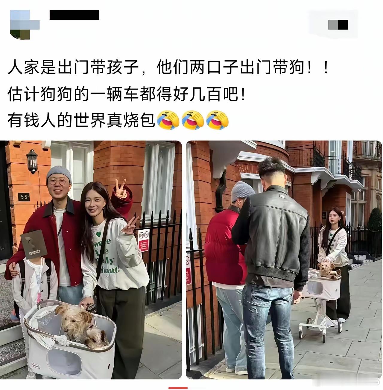 人真的不能吃太饱！狗的待遇都快比小孩子好了，倒反天罡啊！​​​