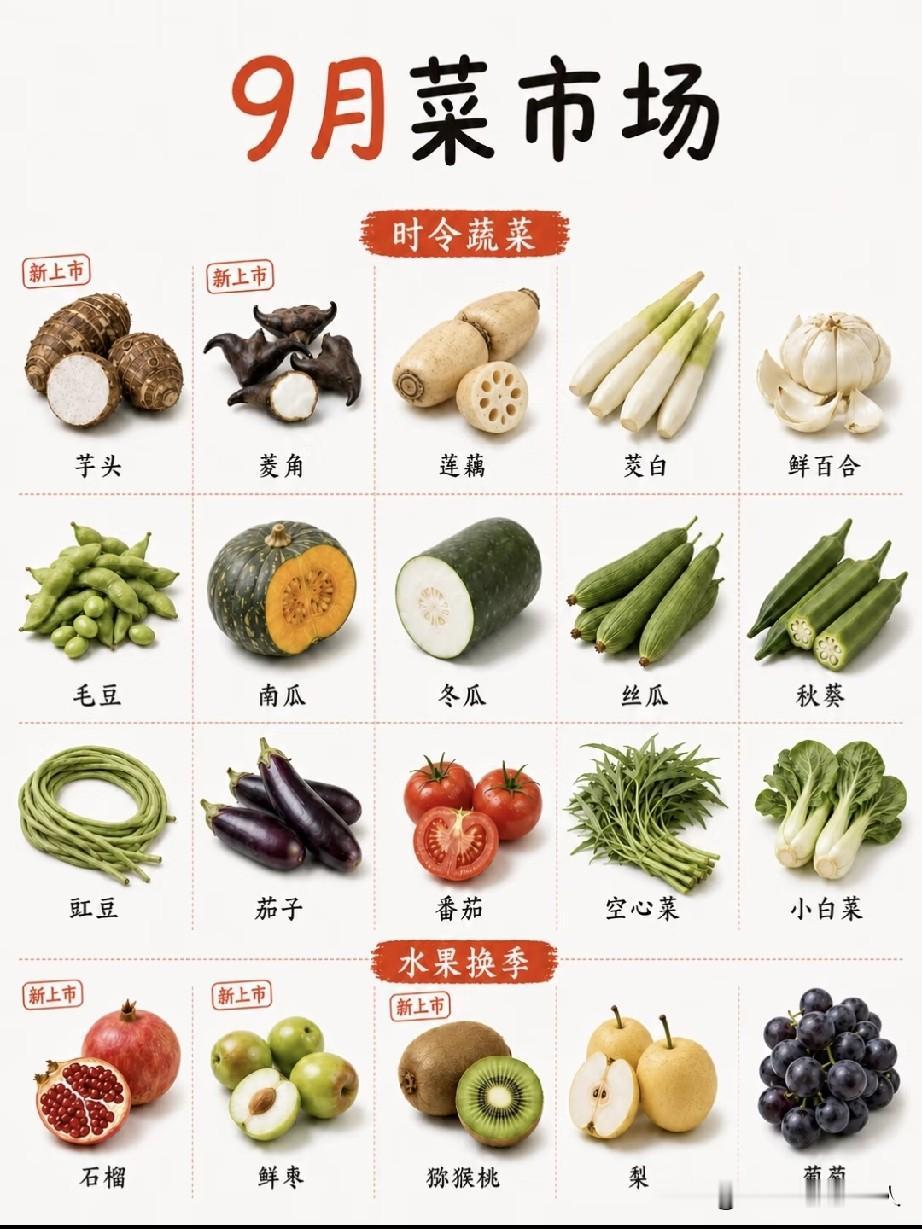 9月菜市场菜品总结出来了，各位家庭主厨配菜了
