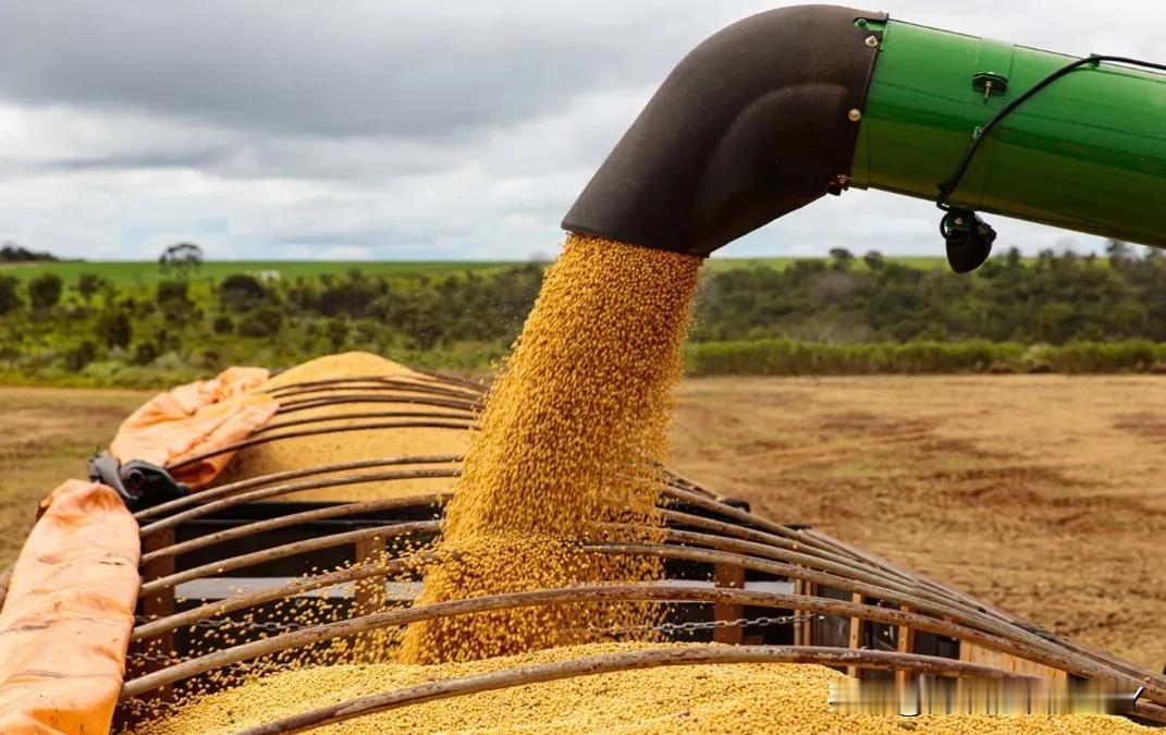 回国后,贝森特迅速向农民报告好消息。贝森特说,在接下来的3年,中国采购美国大豆将