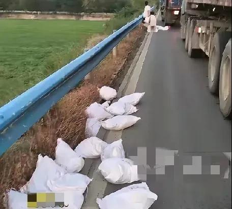 8月13日，河南新乡路上一大车司机忘记关车门，面粉散落一地，后面堵的全是车，司机
