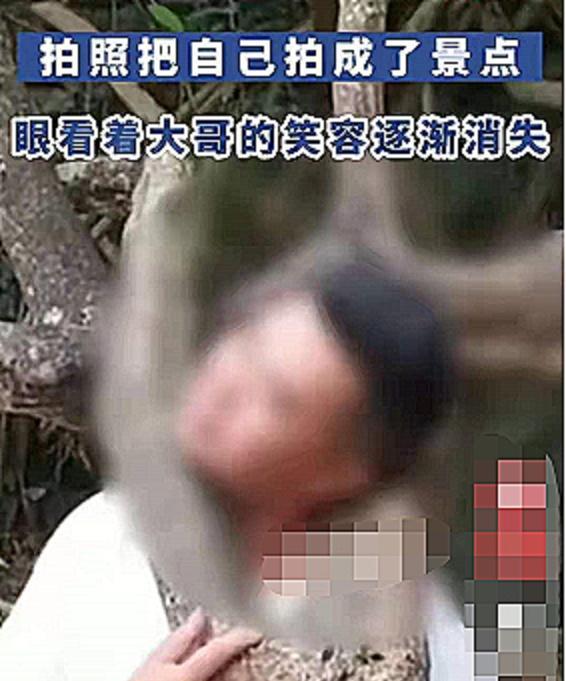 小伙子去景区游玩，瞧见一棵奇怪的三角树杈。他满心好奇，凑上去前去，左揪揪右看看。