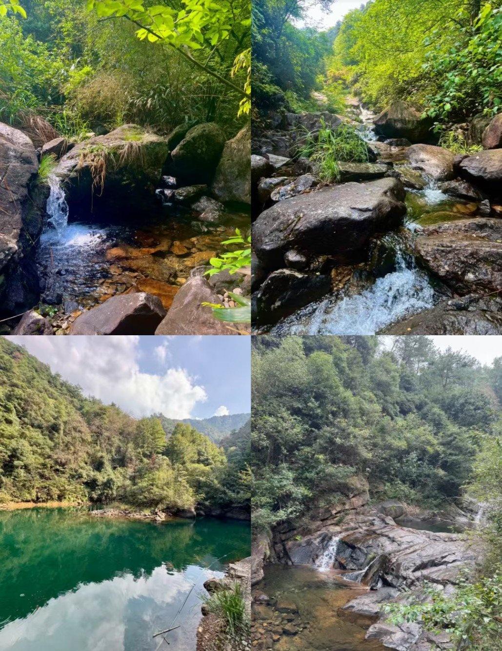 🌿解锁5小时野性浪漫🌿