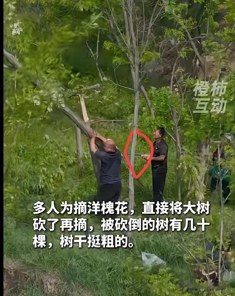 气愤！4月29日，陕西咸阳，男子去野山玩，用无人机拍风景，无意间拍到这一幕。多