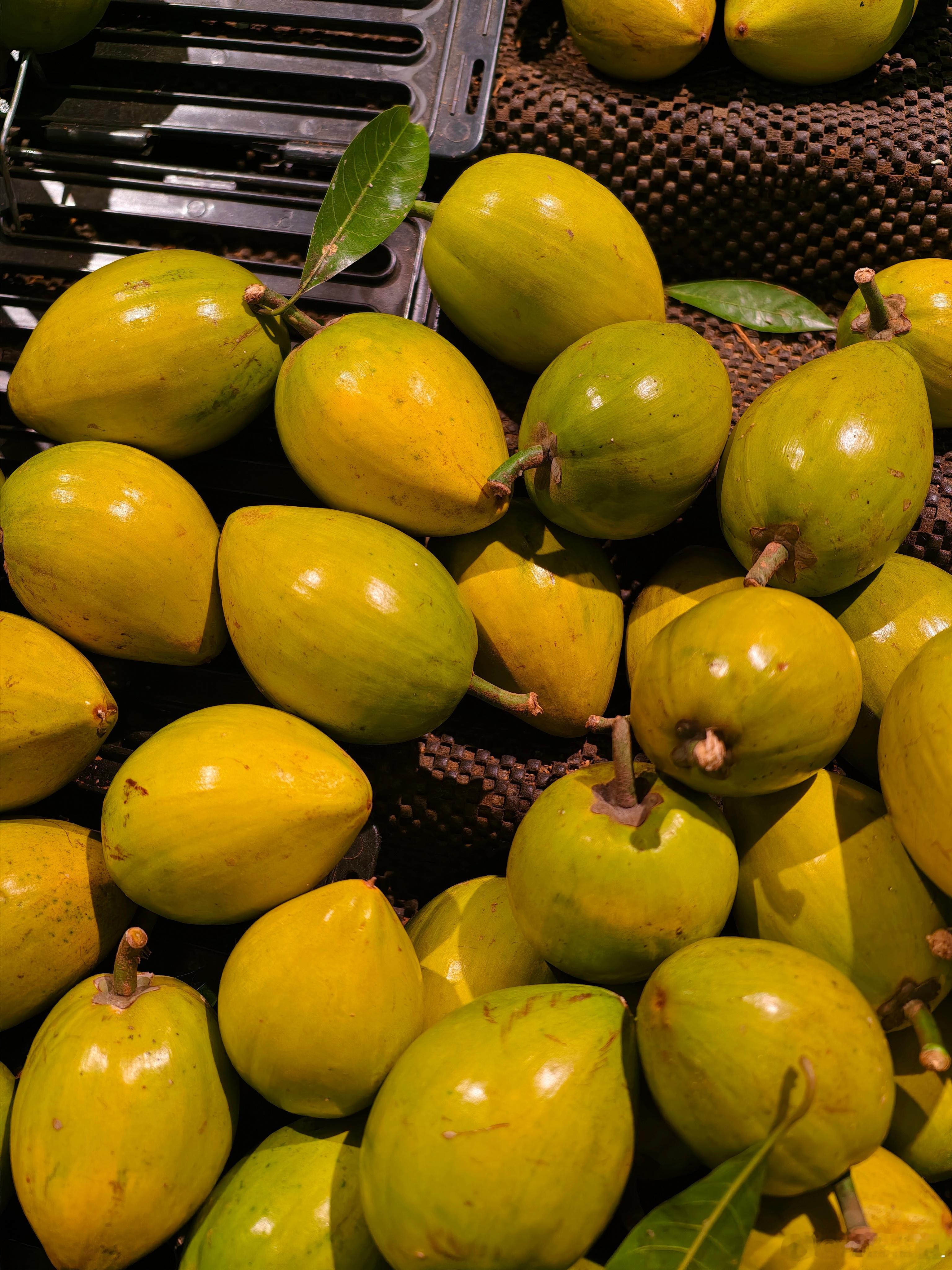 这是啥水果？好吃吗？