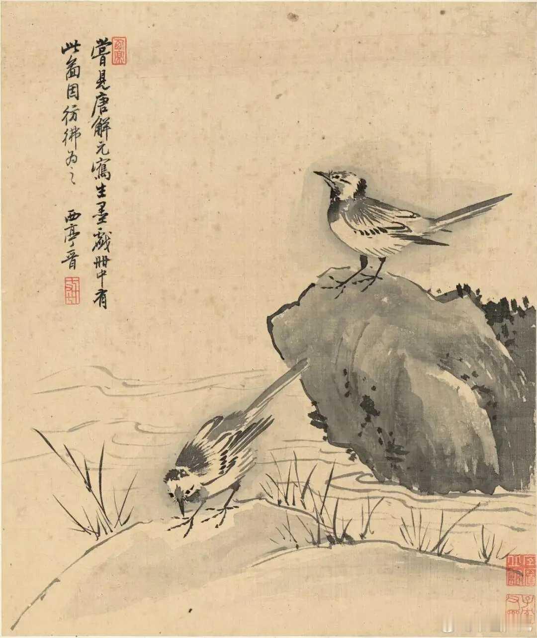 清杨晋花鸟十二开。杨晋（1644－1728），字子和，一字子鹤，号西亭，自