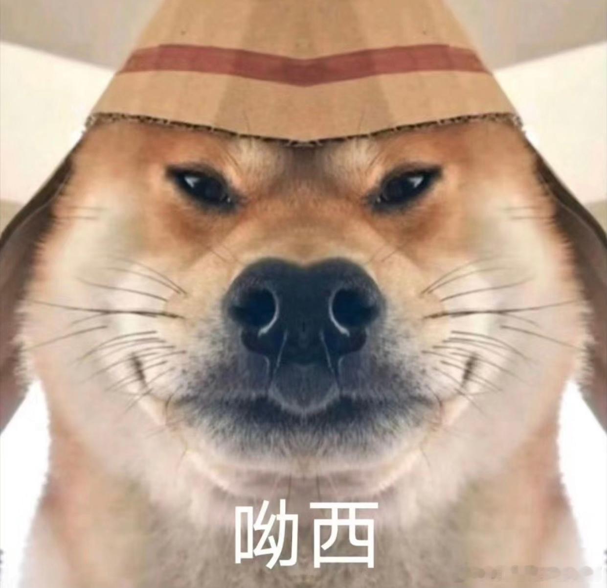 和老板不和原来是体质的问题和老板不和竟是体质问题！这“职场敏感体质”也太会搞事情