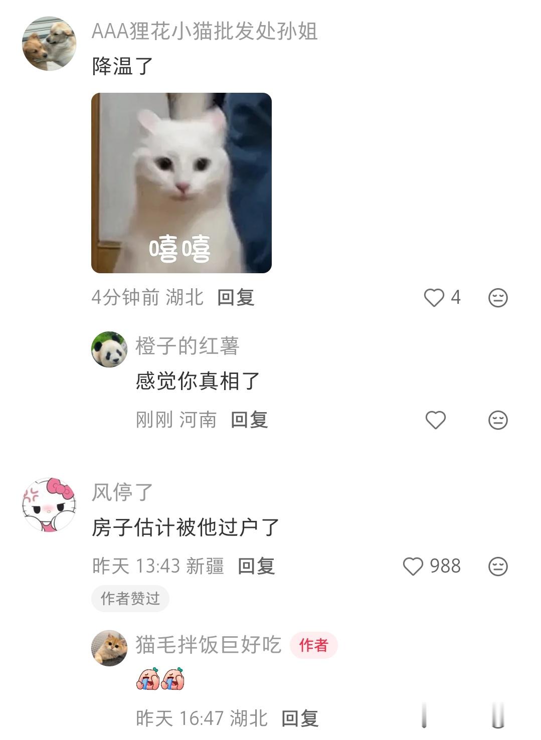 突然的宠幸让铲屎的受宠若惊​​​