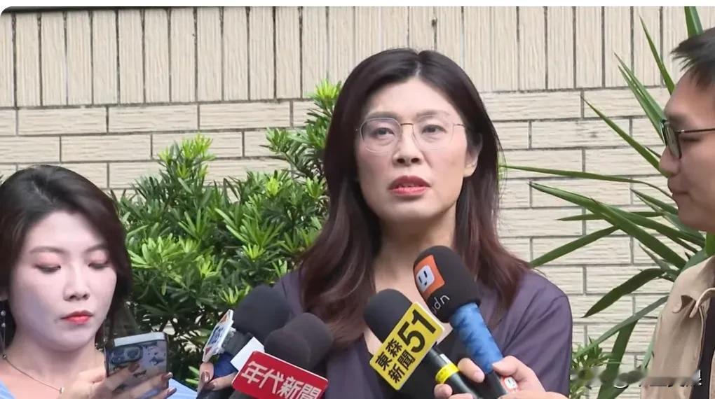 国民党立委翁晓玲邱若华、叶元之、林思铭、等人昨天赴厦门参加台商协会活动。民进