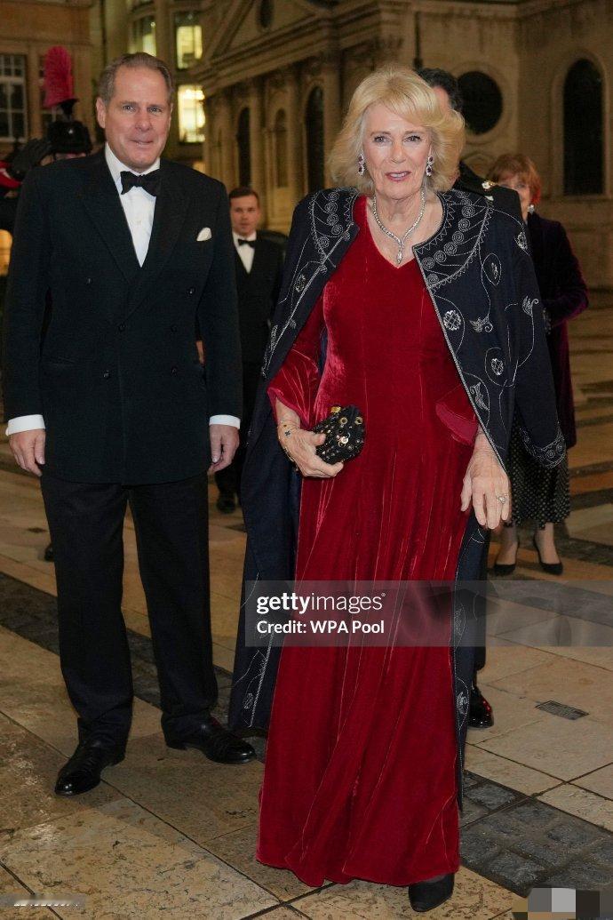 英国王室女眷联袂丝绒礼服秀[赞]11月底，老卡携苏菲、布里吉特出席晚宴，全部