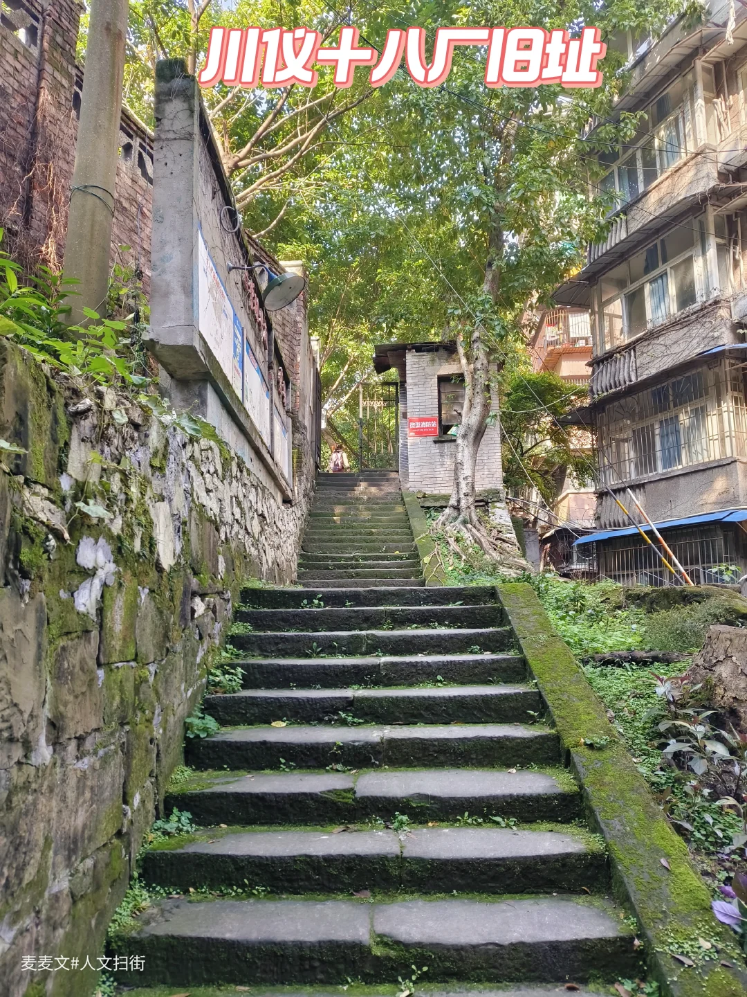 【北碚】探秘老川仪十八厂的高光发展史