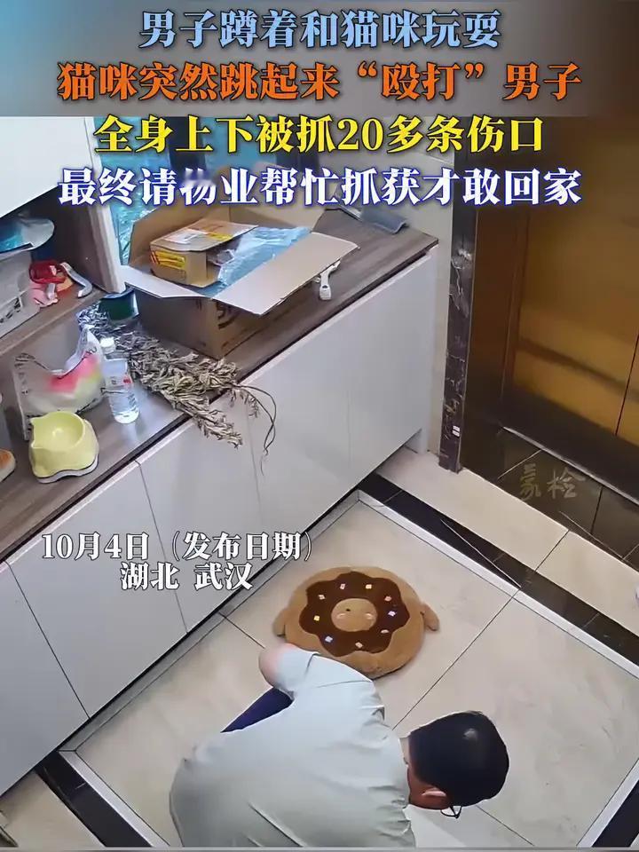 刷到一条新闻真没想到有家猫突然发狂，把主人挠了20多道伤口不是猫天生“坏