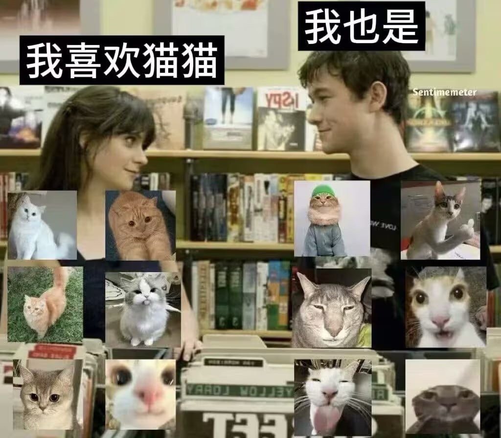 我也是​​​